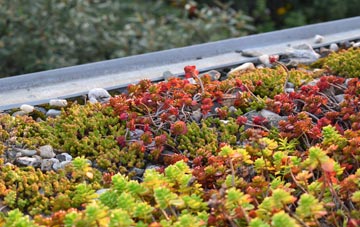 the cost of Pentre Bychan green roof installation