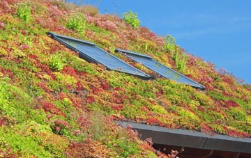 Pentre Bychan living roof systems