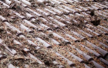 Pentre Bychan roof cleaning companies