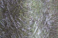 Pentre Bychan fibreglass roof work